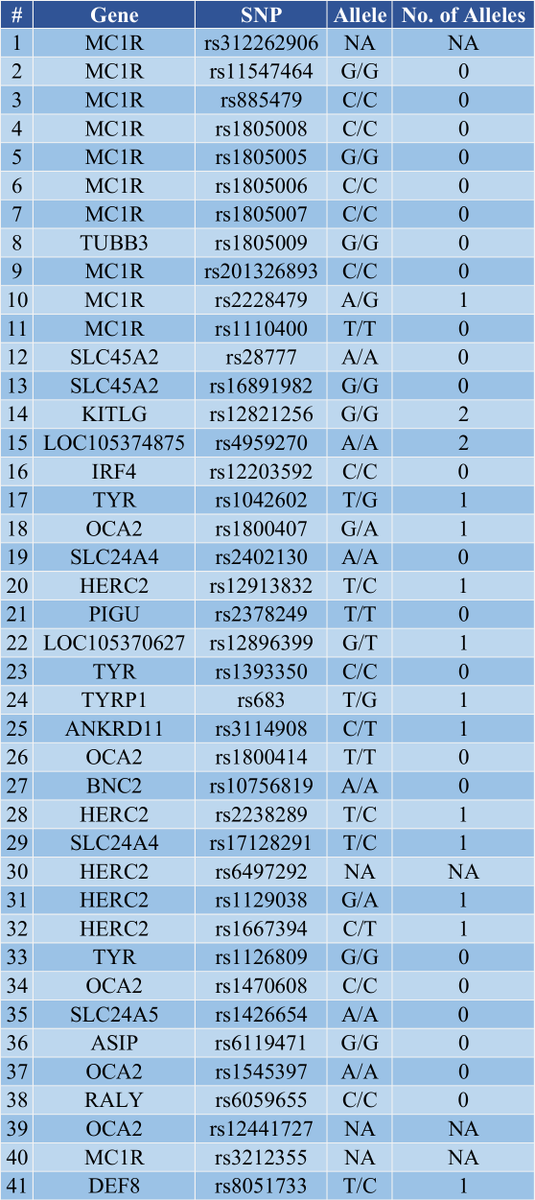 Decimal /でしまる tweet media