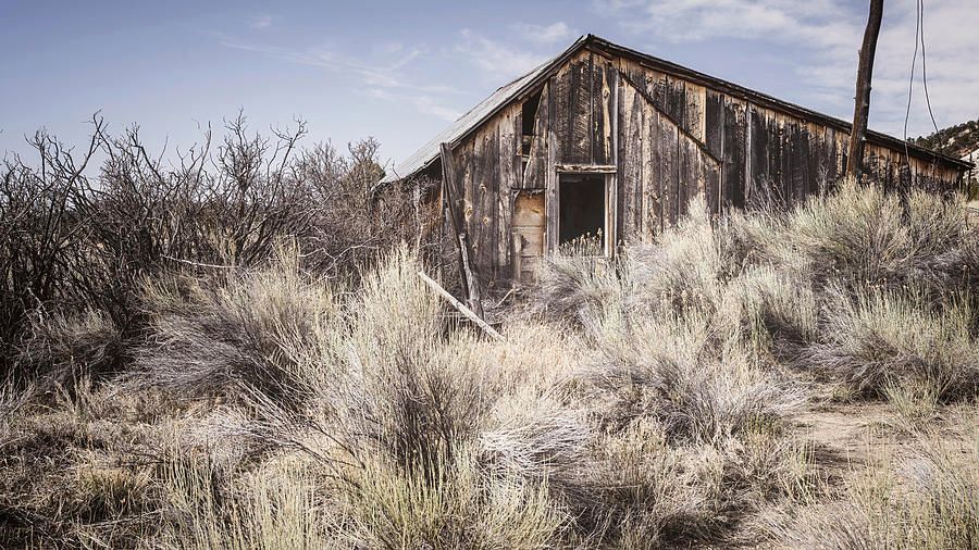joancarroll's tweet image. Abandoned House Utah IV! buff.ly/3HdXsaJ #house #exterior #weathered #window #abandoned #rundown #wooden #utah #DistressedProperty @joancarroll