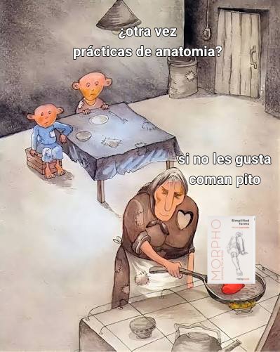 Algo me dice que los tengo a ustedes así xd