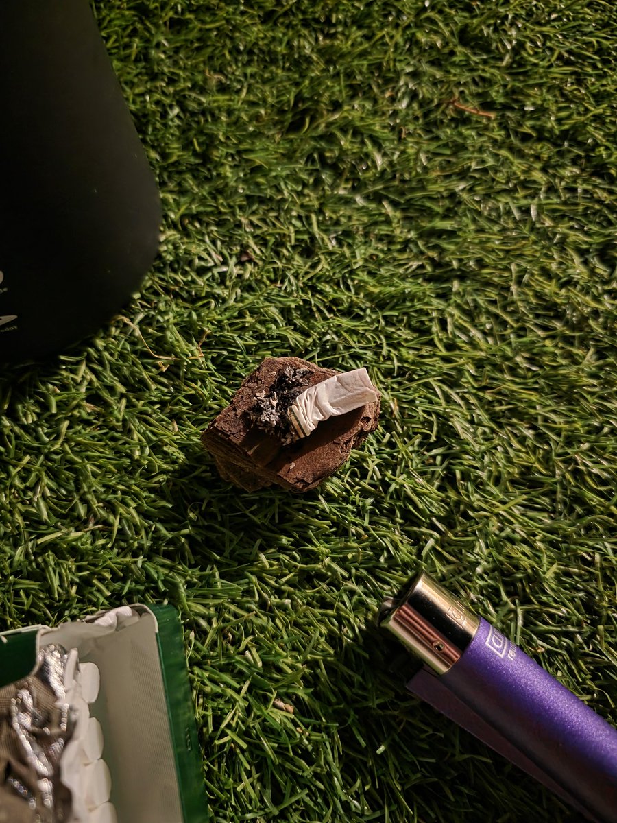 my ashtray is a piece of bark