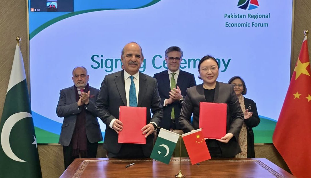 Amb Naghmana Naheed. tweet media