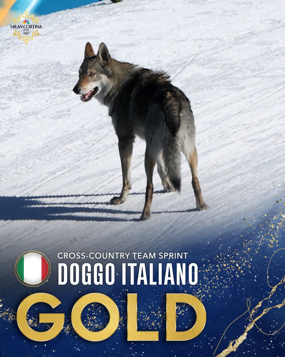 TOTALLY PAW-SOME. 🇮🇹🐶 #WinterOlympics