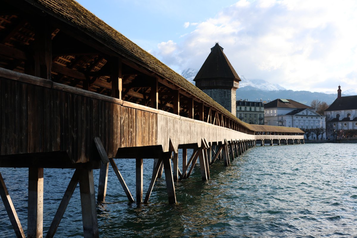 Youri Hoek tweet media