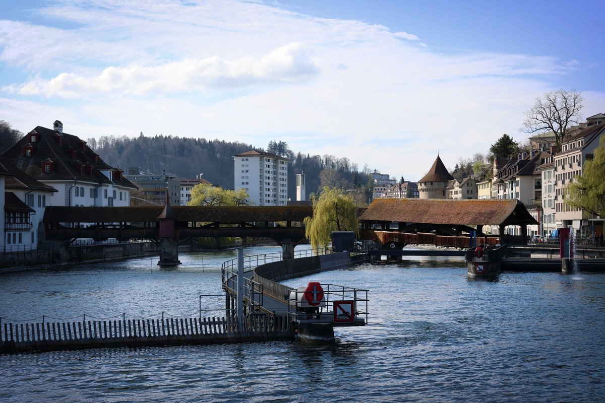 Youri Hoek tweet media