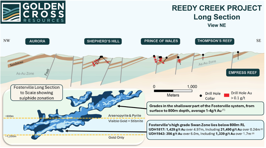 GoldenCrossAUX's tweet image. ⚒️ @GoldenCrossAUX's recent #drilling confirmed pathfinder minerals consistent with Fosterville-style zonation at the Reedy Creek Project.
➡️ Stibnite (antimony sulfide) and elevated antimony values were encountered in recent drilling, supporting a vertical sulfide zonation