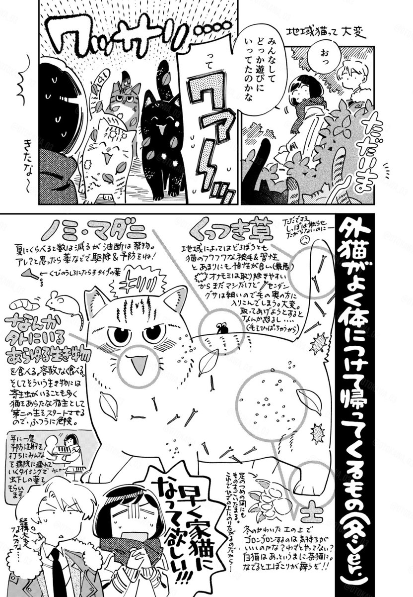 #黒根さんはニャーと鳴かない 
3巻発売は明日!
よろしくお願いします🐱 