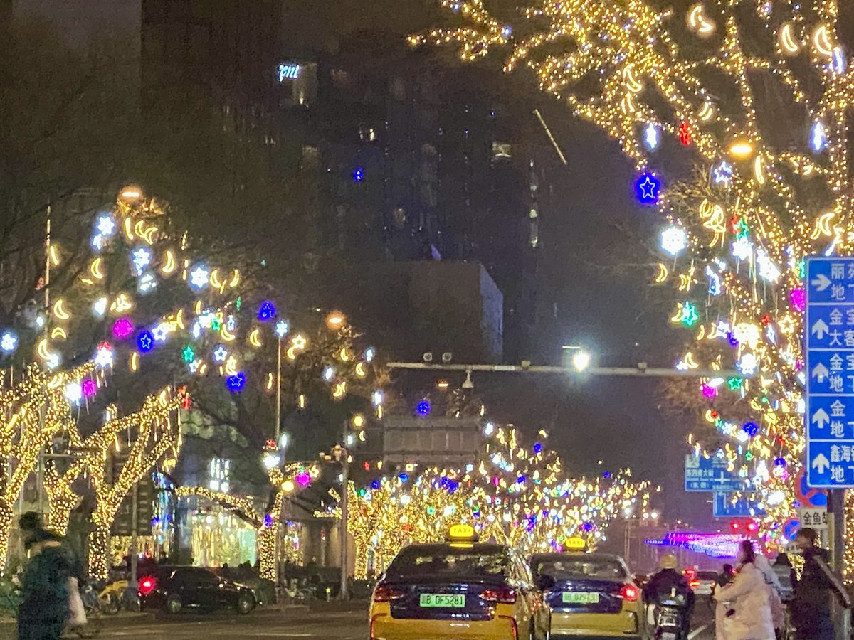 Amb Naghmana Naheed. tweet media