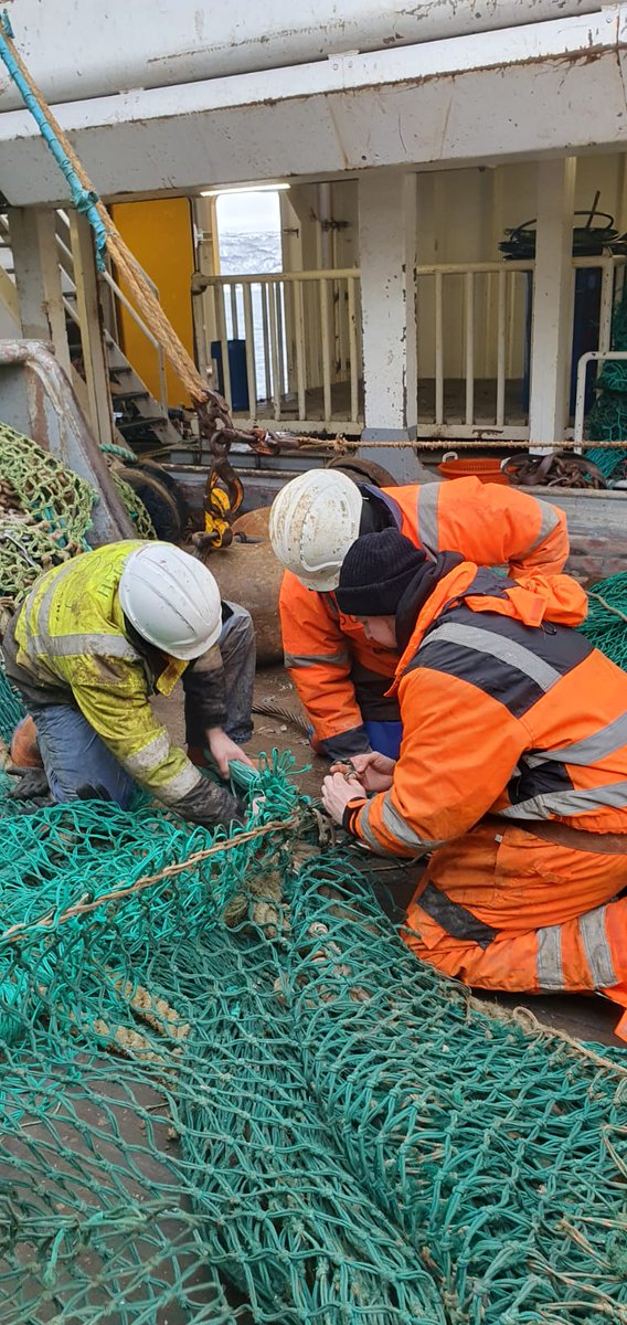 Great British Fish 🇬🇧 tweet media