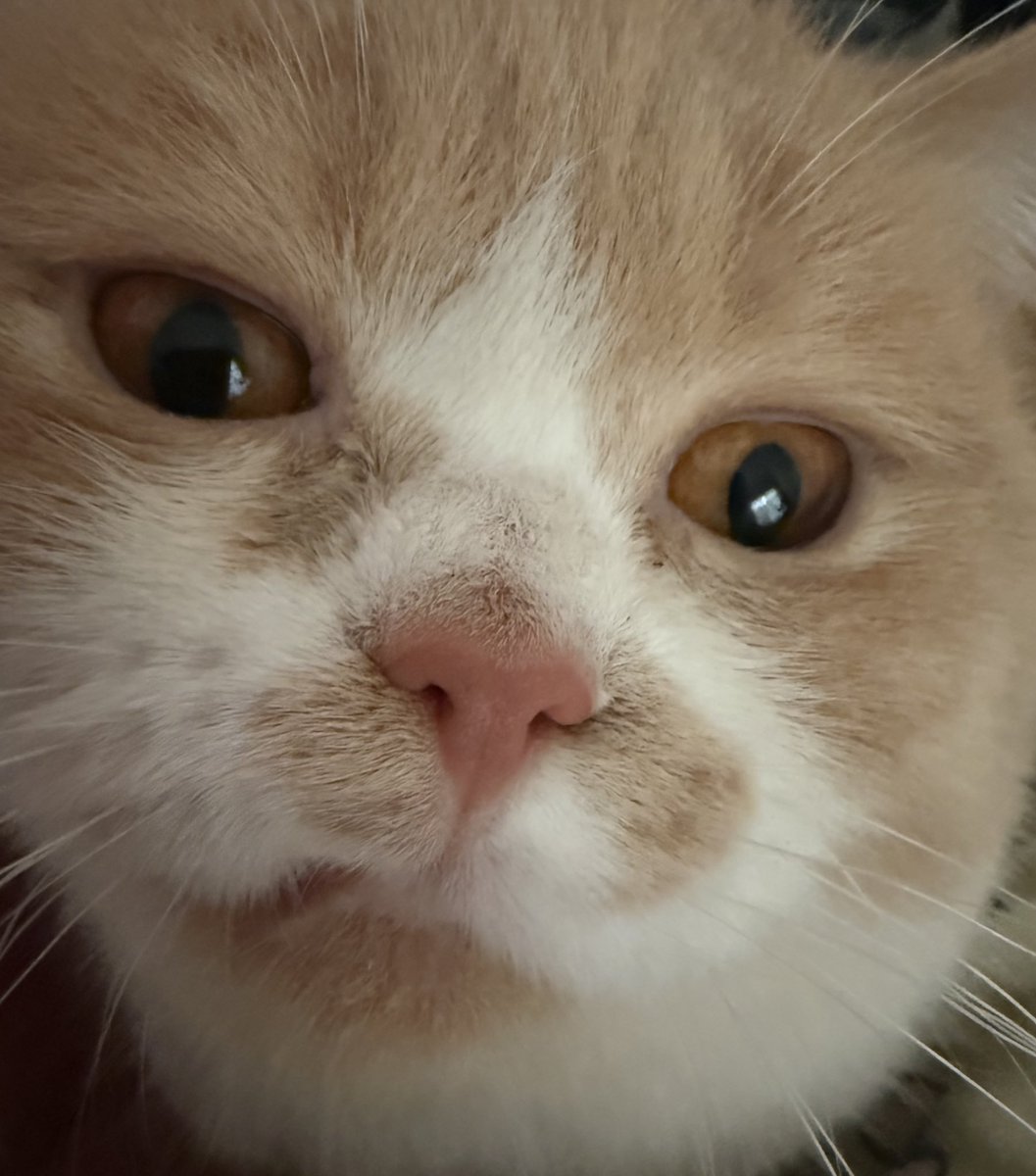 马上毕业了，我有点舍不得我学校的麻辣拌，加上我的料，真的好好吃，我真的舍不得。(小猫拽拽的)