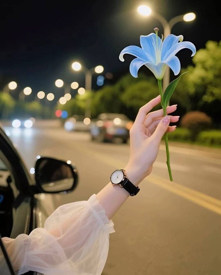 Hi x team.
Good Night.