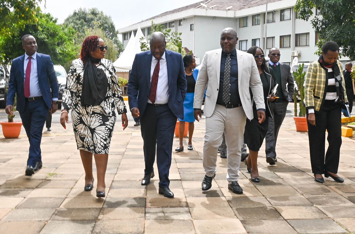 Peter Quest tweet media