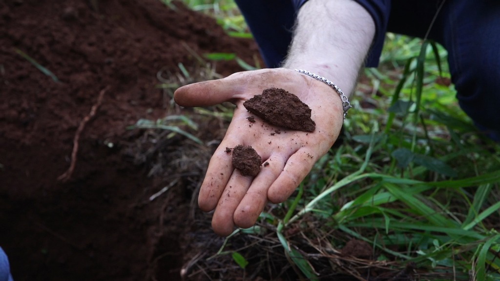 jorgekurrle's tweet photo. #Misiones suma una #herramienta clave para planificar su producción: presentaron la #cartografía semidetallada de suelos de Guaraní

El Ministerio del Agro, junto al Instituto Misionero del Suelo y la Red de Cartografía y Evaluación de Tierras del INTA, puso a disposición una herramienta estratégica que permitirá a productores, técnicos y municipios planificar con mayor precisión el uso, manejo y conservación del suelo.

.@AgroMnes @Facundosartori
https://t.co/3hfO9W4uvb
