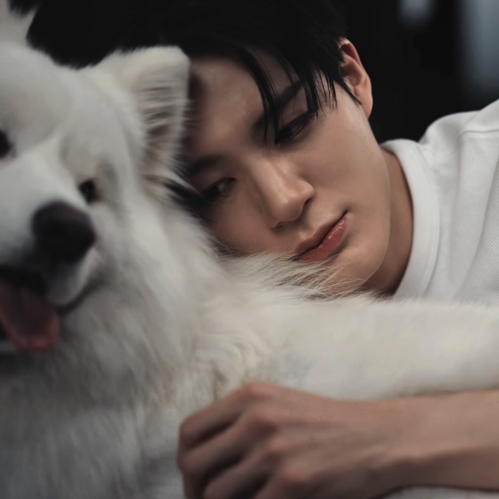 애기사모예드둘