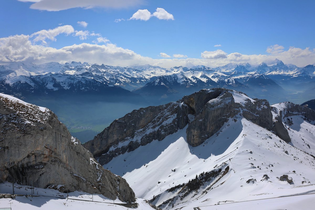 Youri Hoek tweet media