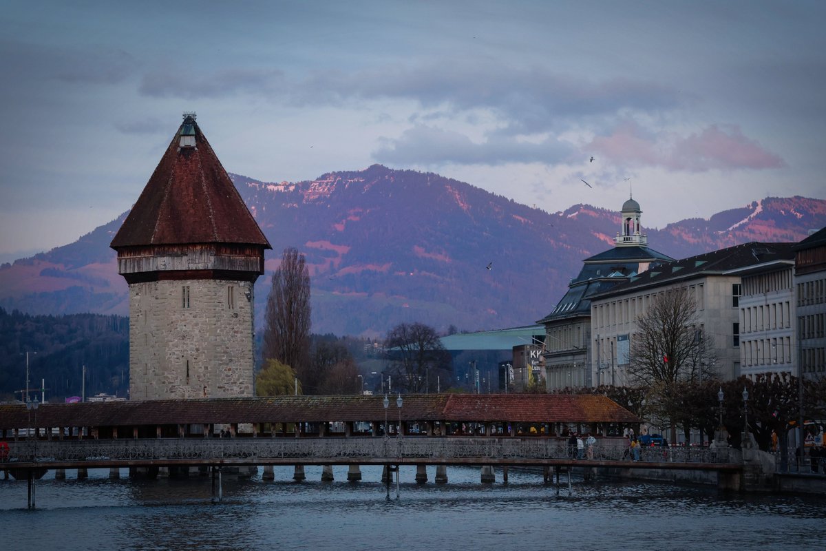 Youri Hoek tweet media