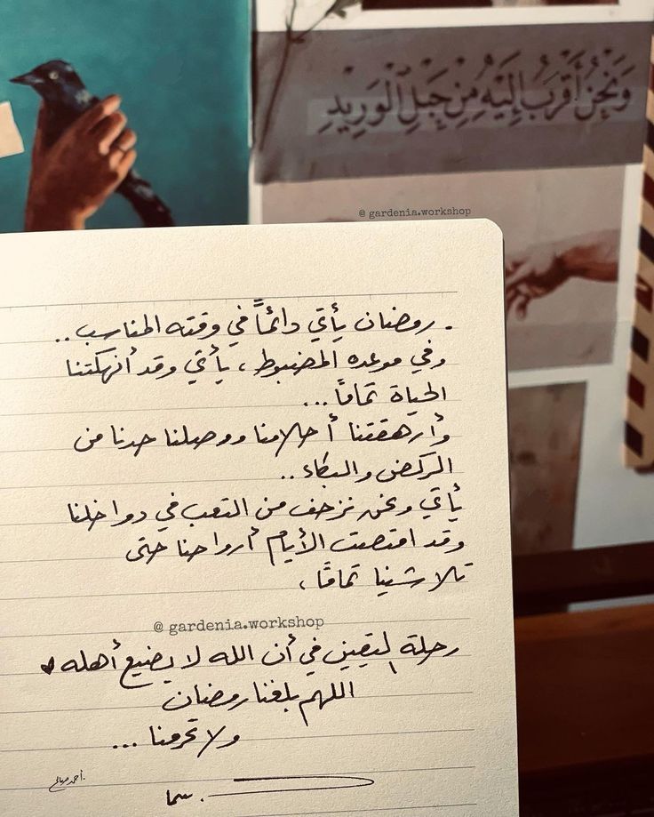 نَــدىٰ 🕊️ tweet media