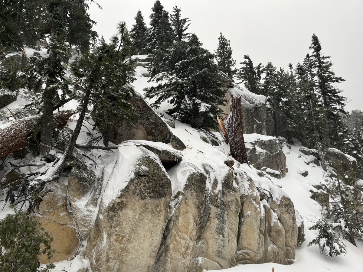 SBCO: Emergency closure on SR-18 from Big Bear Dam due to Talbot Drive due to a downed tree blocking both lanes. Unknown duration of closure, maintenance crews are on scene. Use quickmap.dot.ca.gov for updated road conditions. #Caltrans8 <a href="/CityofBBL/">City of Big Bear Lake</a>