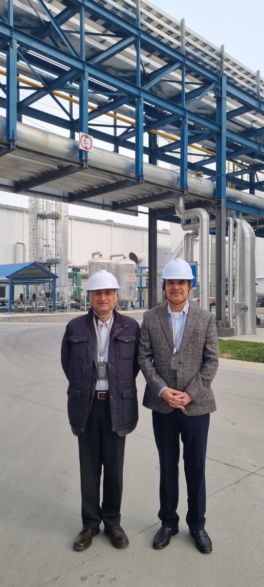 Amb Naghmana Naheed. tweet media