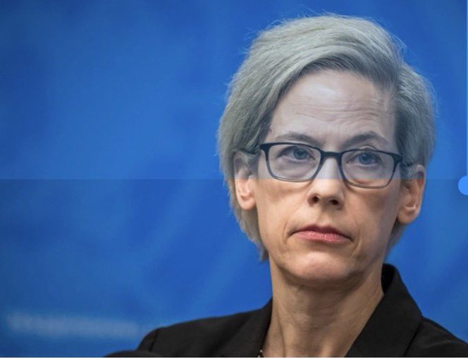 La experta independiente de la <a href="/ONU_es/">Naciones Unidas</a>, Margaret Satterthwaite, evidenció la ligereza de la ONU
para señalar delitos presuntos, sin tomarse la molestia de revisar la biografía de las personas a las que señala. 

Según Satterthwaite, la doctora Consuelo Porras se dedicaba a las