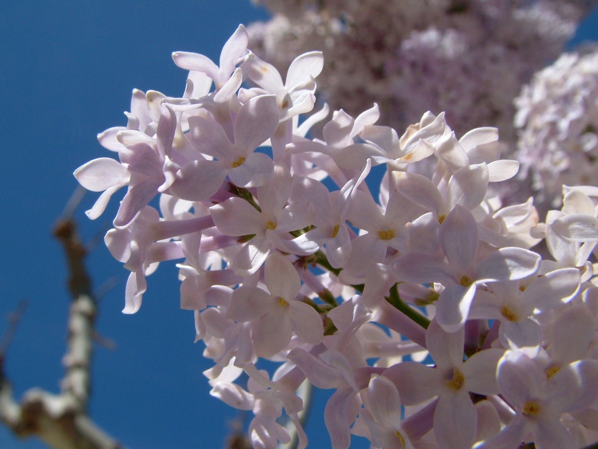 🌸 Ja és aquí la floració a les Terres de Lleida, on natura, patrimoni i tradició es troben entre masies, camins antics i ermites 👌

Una invitació a passejar, descobrir i emocionar-se amb els primers colors de l’any. T’ho perdràs? 😍

ℹ️ lafloracio.cat

#AraLleida