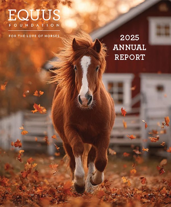 EQUUS Foundation tweet media