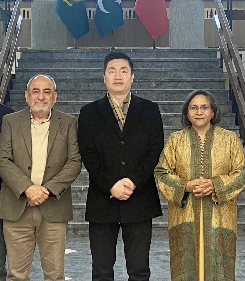 Amb Naghmana Naheed. tweet media