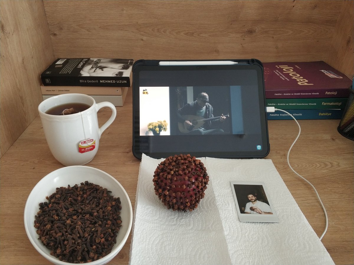 Sêva Mêxekrêj 🍎
14.02.2026