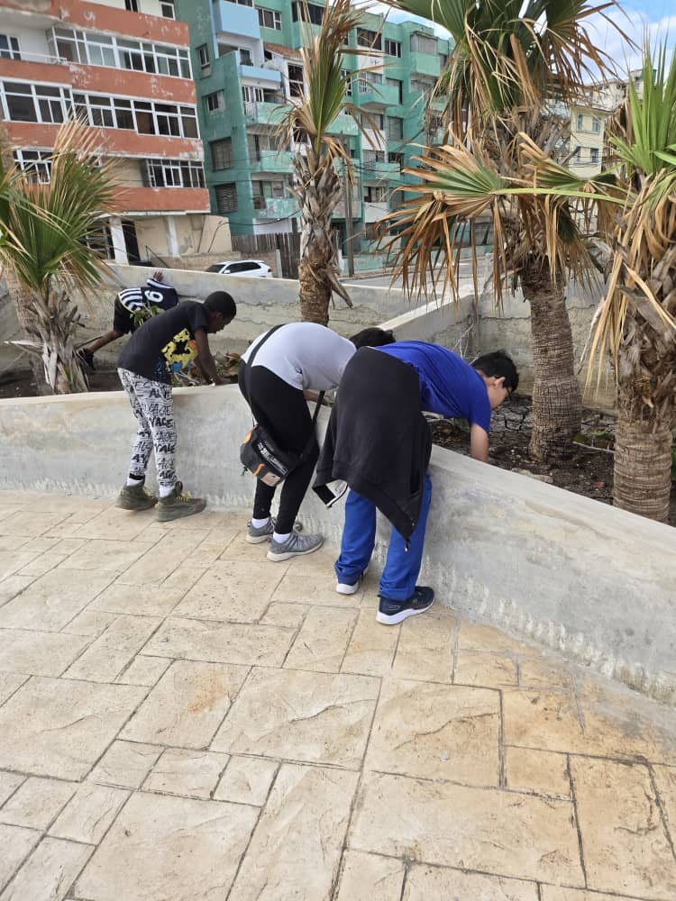 👉| Treinta estudiantes y una docente fortalecen el vínculo estudio–trabajo en la Tribuna Antimperialista "José Martí", reafirmando el compromiso con la formación y el aporte a la sociedad.  

#LaHabanaViveEnMí