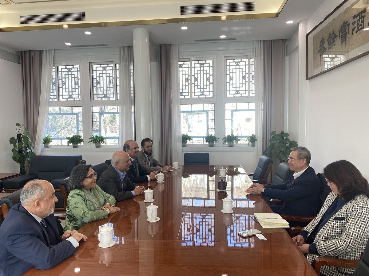 Amb Naghmana Naheed. tweet media