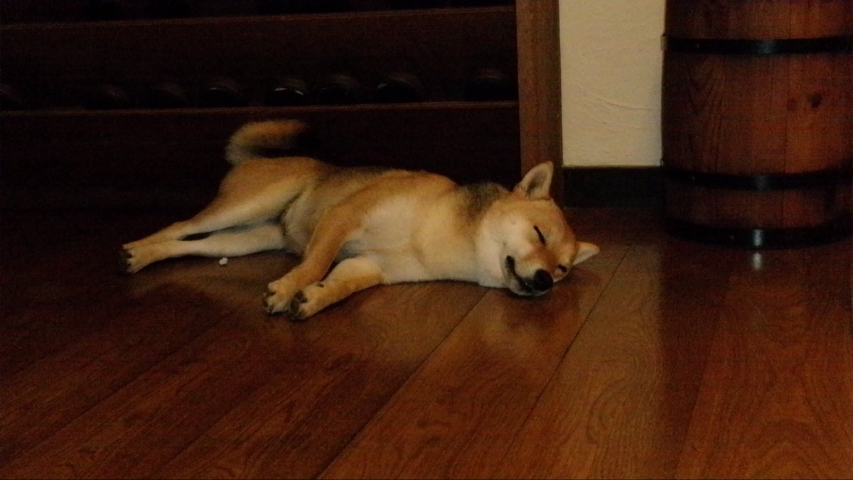 San Chan Fan Club tweet media