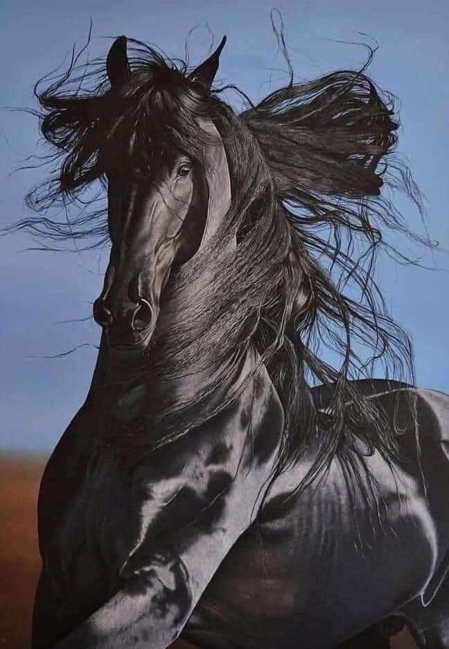El caballo español, pura raza, belleza y bravura llegó a Norteamérica con los españoles y le dió a los habitantes de aquellas tierras una nueva forma de vida y la identidad de su cultura popular: La Cultura Cowboy
Grande el Legado Español pura fuerza en sus símbolos imborrables