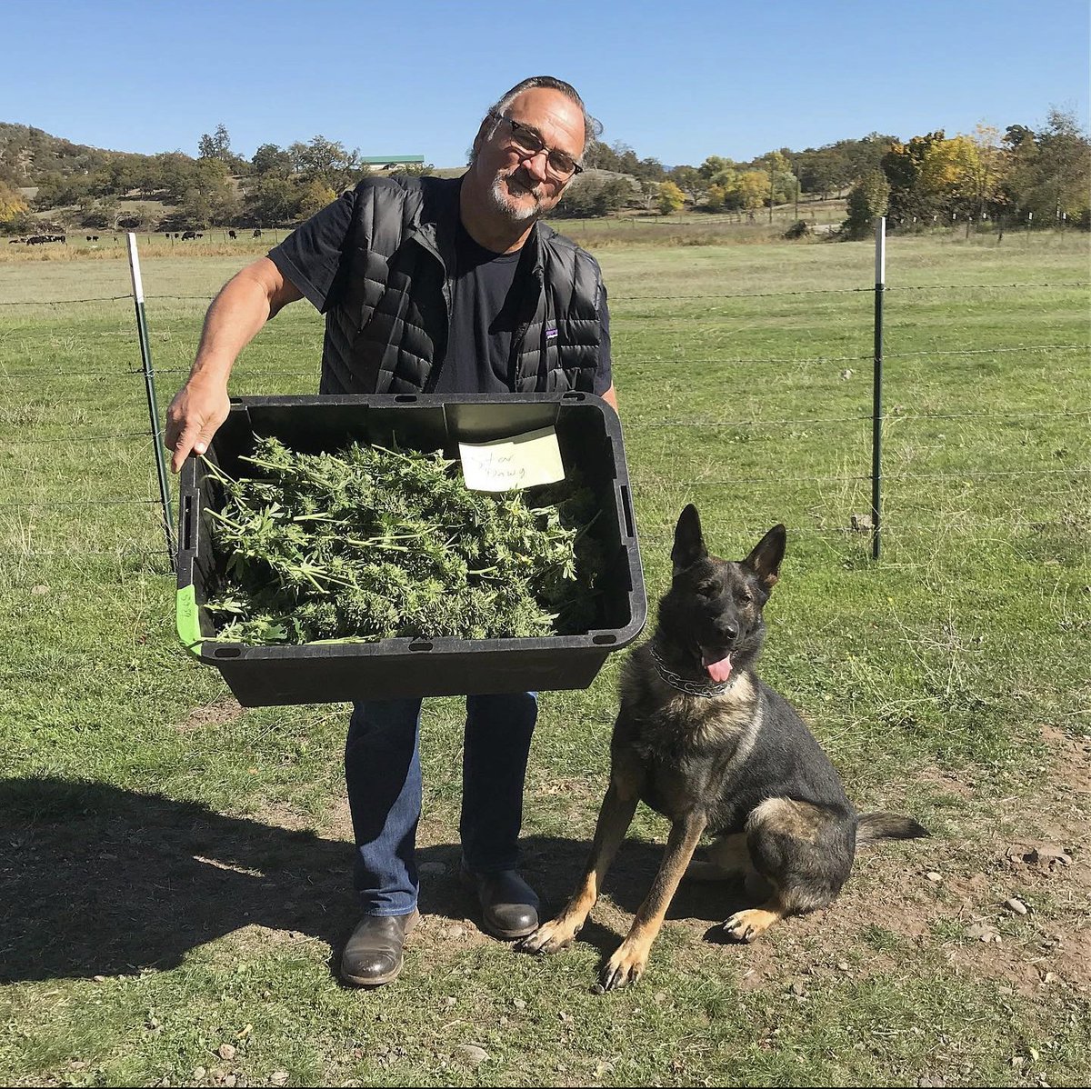 Good morning Stoners!!
Which strain would you like to order from Belushi's Farm. We ship all over the United States and Europe!
Send us a message on WhatsApp and ask for a menu to order 
          👇
+1 (517) 855-7550