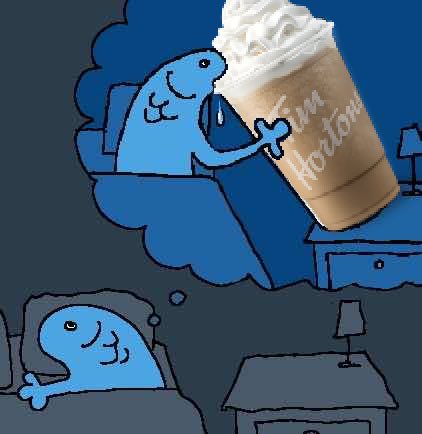 finn🔆 tweet media