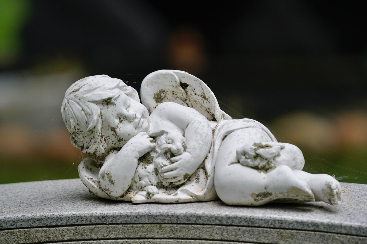 Hollywood Cemetery tweet media