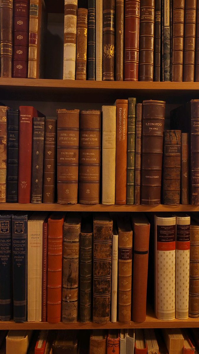 pipis'🌟 tweet media