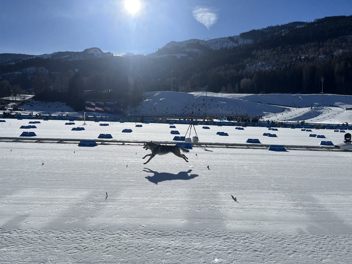 Highlight of the day? What I consider the finest photo of Nazgul the cross-country skiing dog in circulation.
