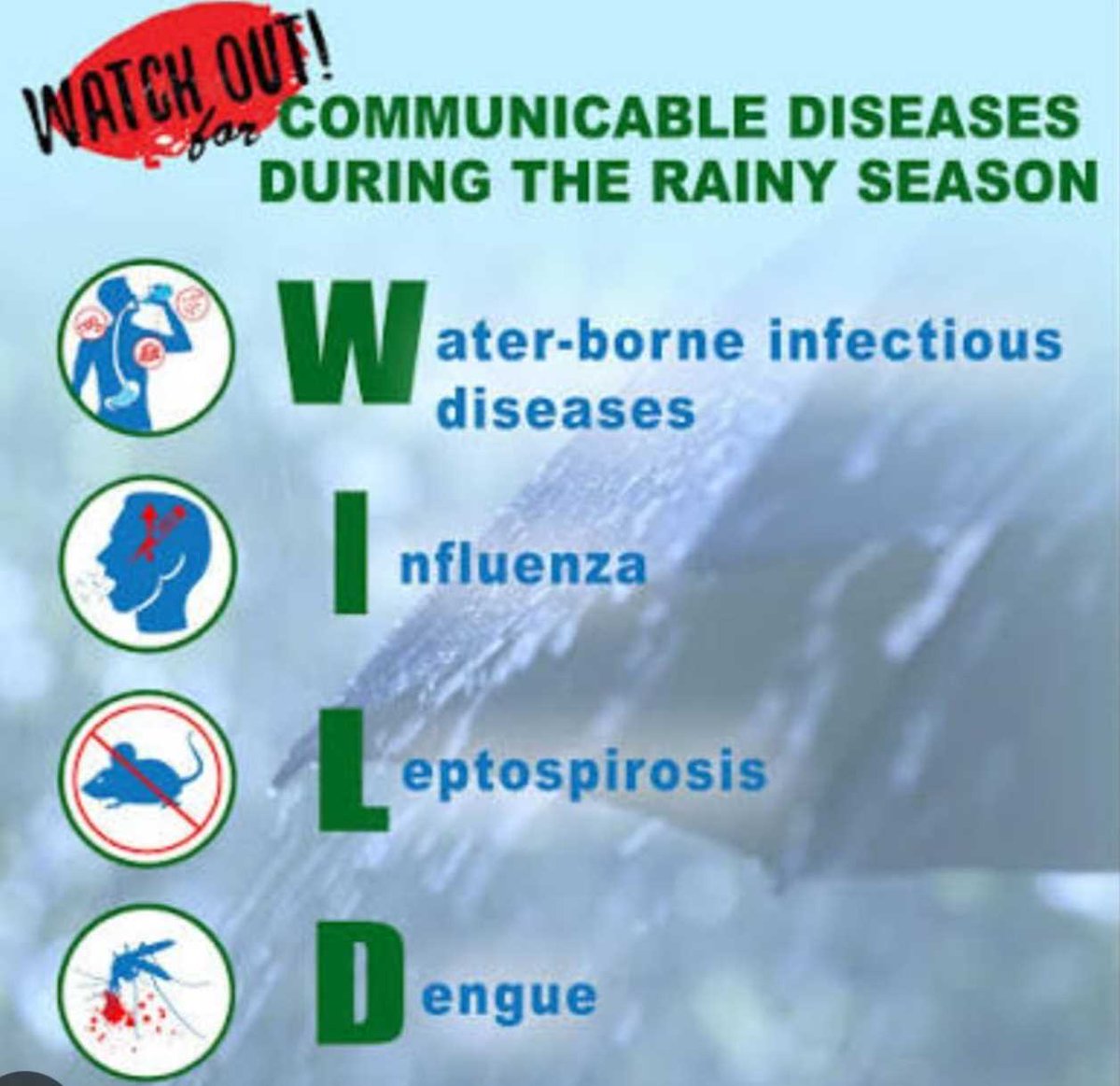 zimbabwewriter's tweet image. Rainy Season Alert: Zimbabwe Cabinet approves a Contingency Fund to tackle cholera, typhoid &amp;amp; waterborne diseases. Multi-sector prep underway. 💧

Read more: zimbabwenow.co.zw/articles/21500…

#ZimbabweHealth #RainySeason #DiseasePrevention #Cholera #Typhoid