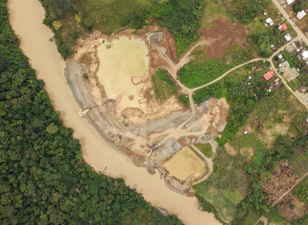 Mongabay Latam tweet media