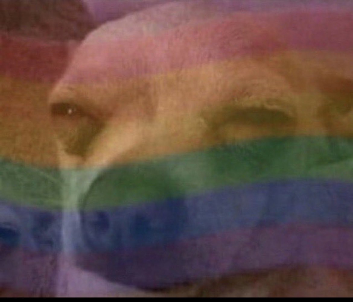 Macho man wey get stew for fridge