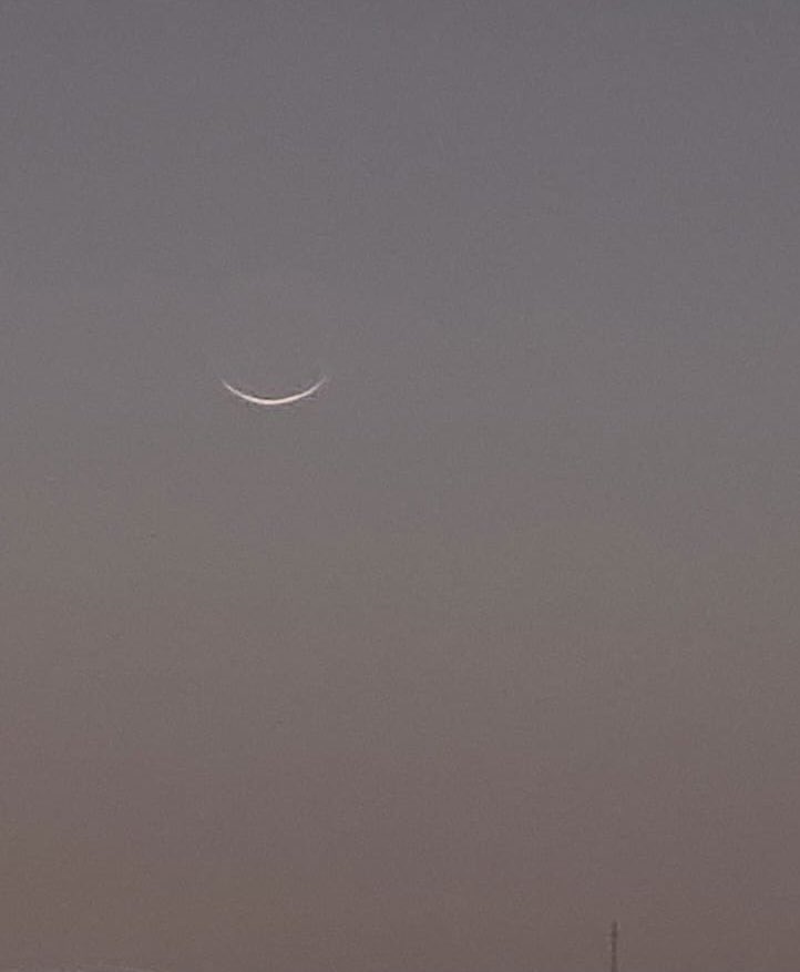 خبر عاجل tweet media