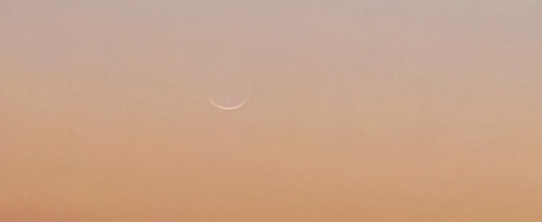 خبر عاجل tweet media