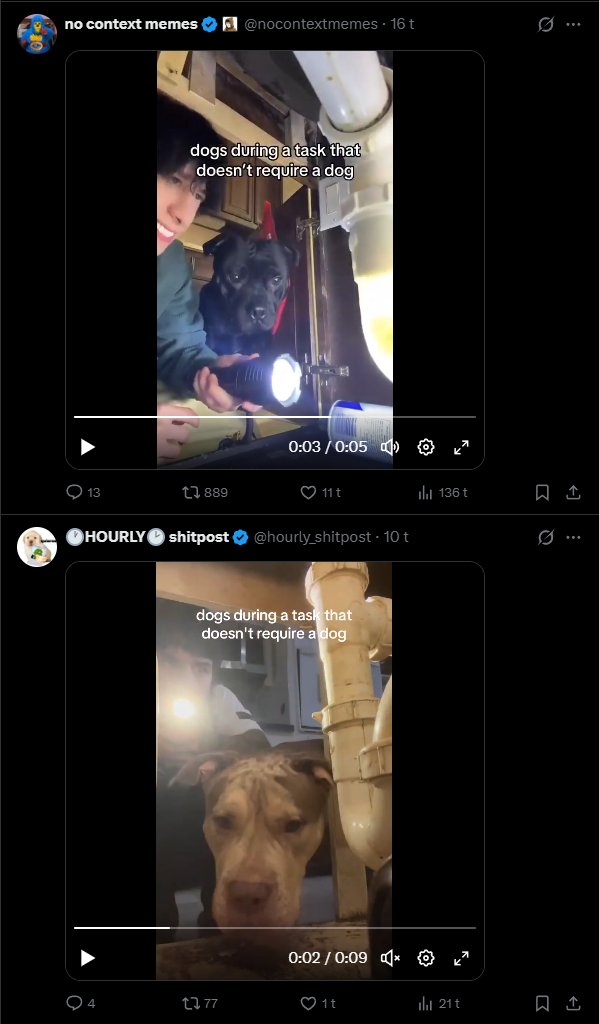 AutistTomahawk's tweet photo. @nocontextmemes https://t.co/2eAsB2xP2b