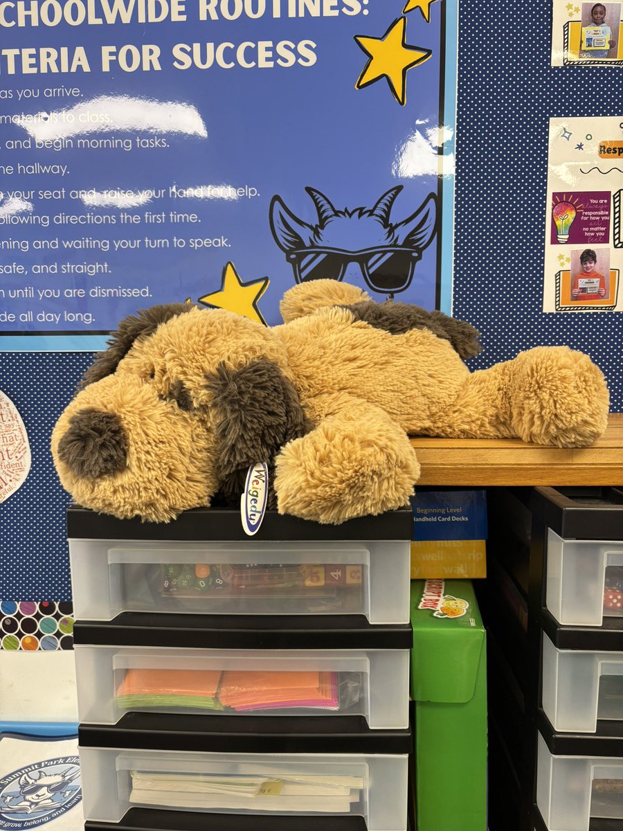 Bre Fortkamp tweet media