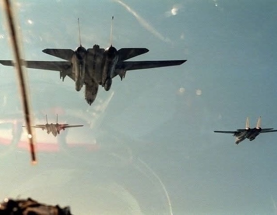 oprktr's tweet image. &amp;gt;[   t o m  c a t s   ]