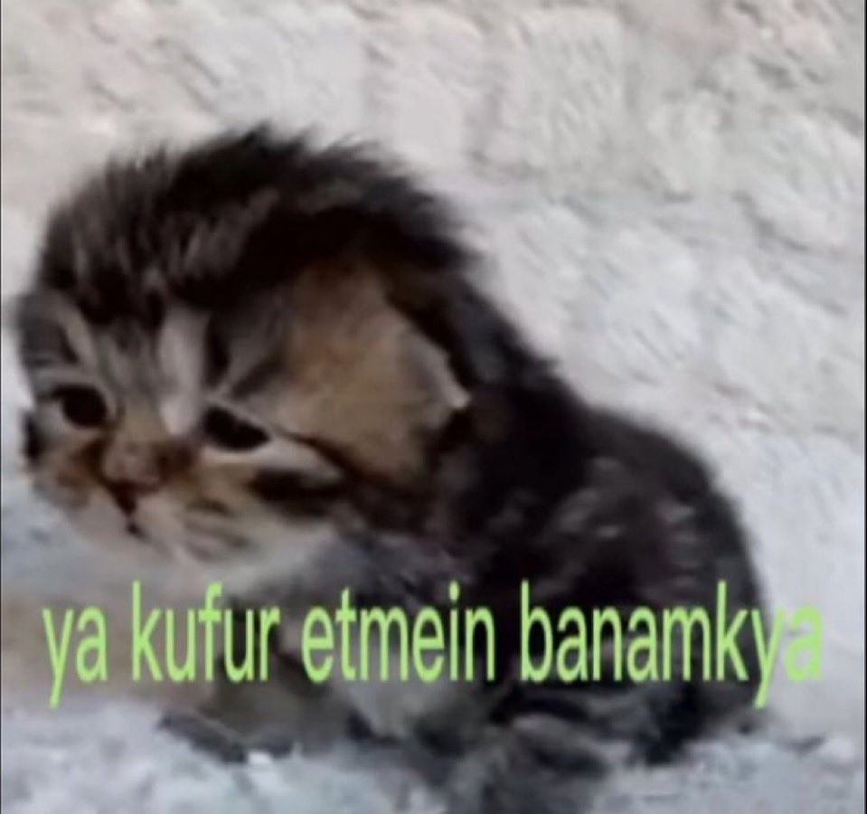 Resident Evil 4’te köylüler bilmediğim dilde bağırarak üstüme mızrakla koşunca