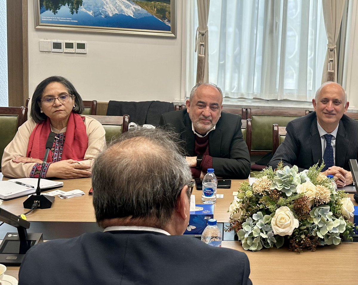 Amb Naghmana Naheed. tweet media