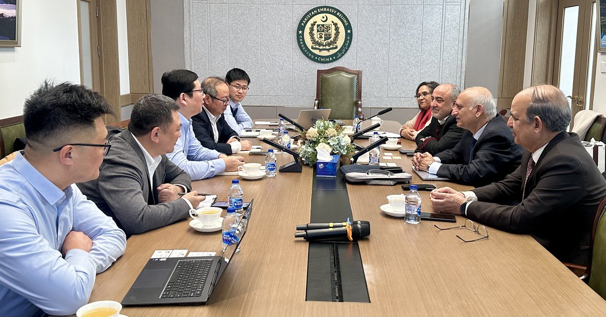 Amb Naghmana Naheed. tweet media