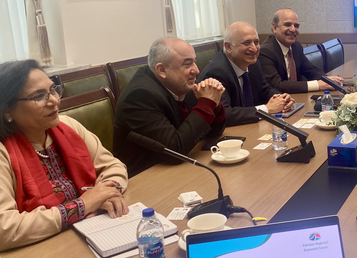 Amb Naghmana Naheed. tweet media