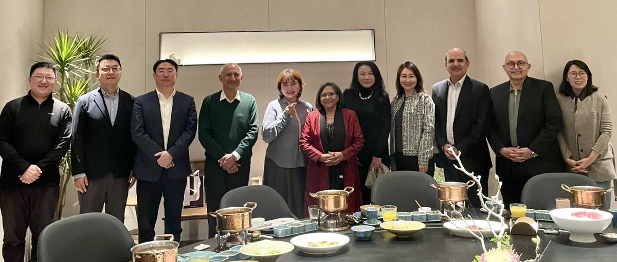 Amb Naghmana Naheed. tweet media