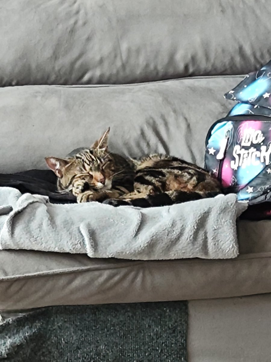 Jabs ˢᶜᶦ ☭ tweet media